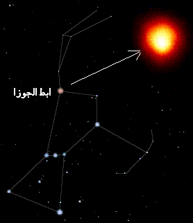 ابط الجوزاء